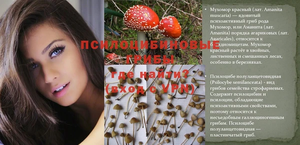 амф Белоозёрский