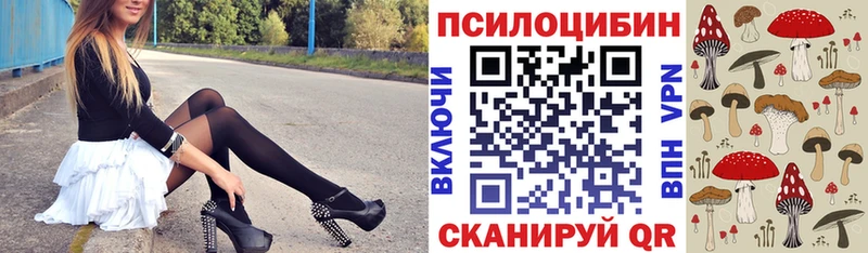 Псилоцибиновые грибы Psilocybine cubensis  наркошоп  Минеральные Воды 